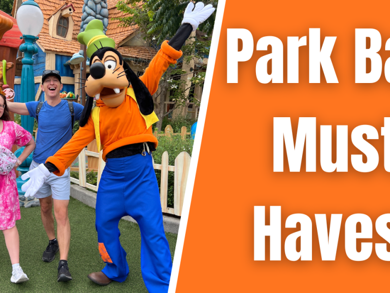ULTIMATE Theme Park Bag Packing&nbsp;List